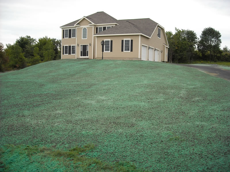 Featured landscaping project