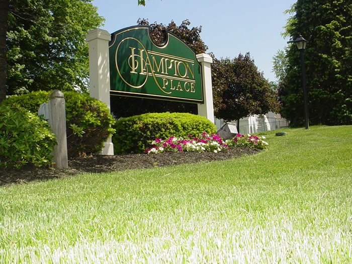 Professional lawn care services