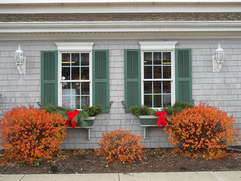 Seasonal window box decorations with fall foliage