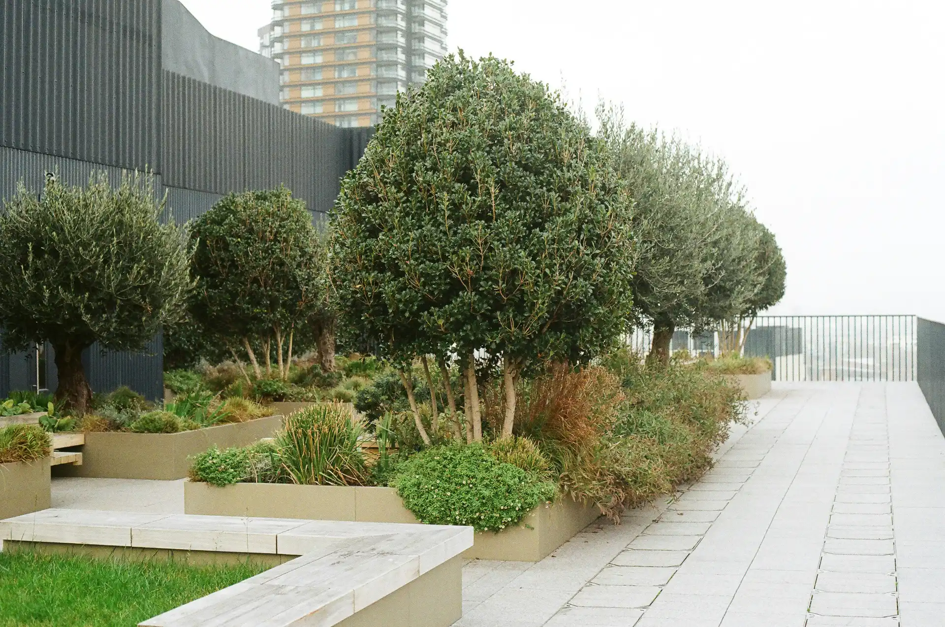 Green Roof Solutions