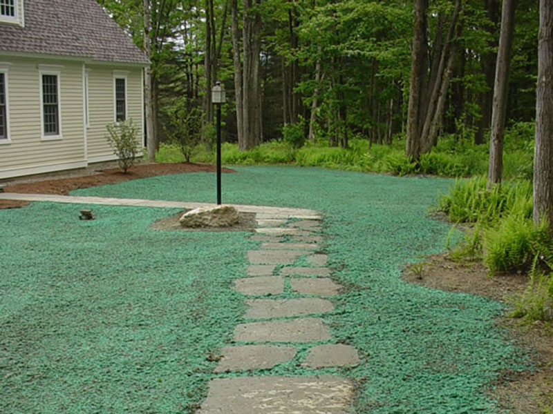 Lush green lawn established through professional hydroseeding